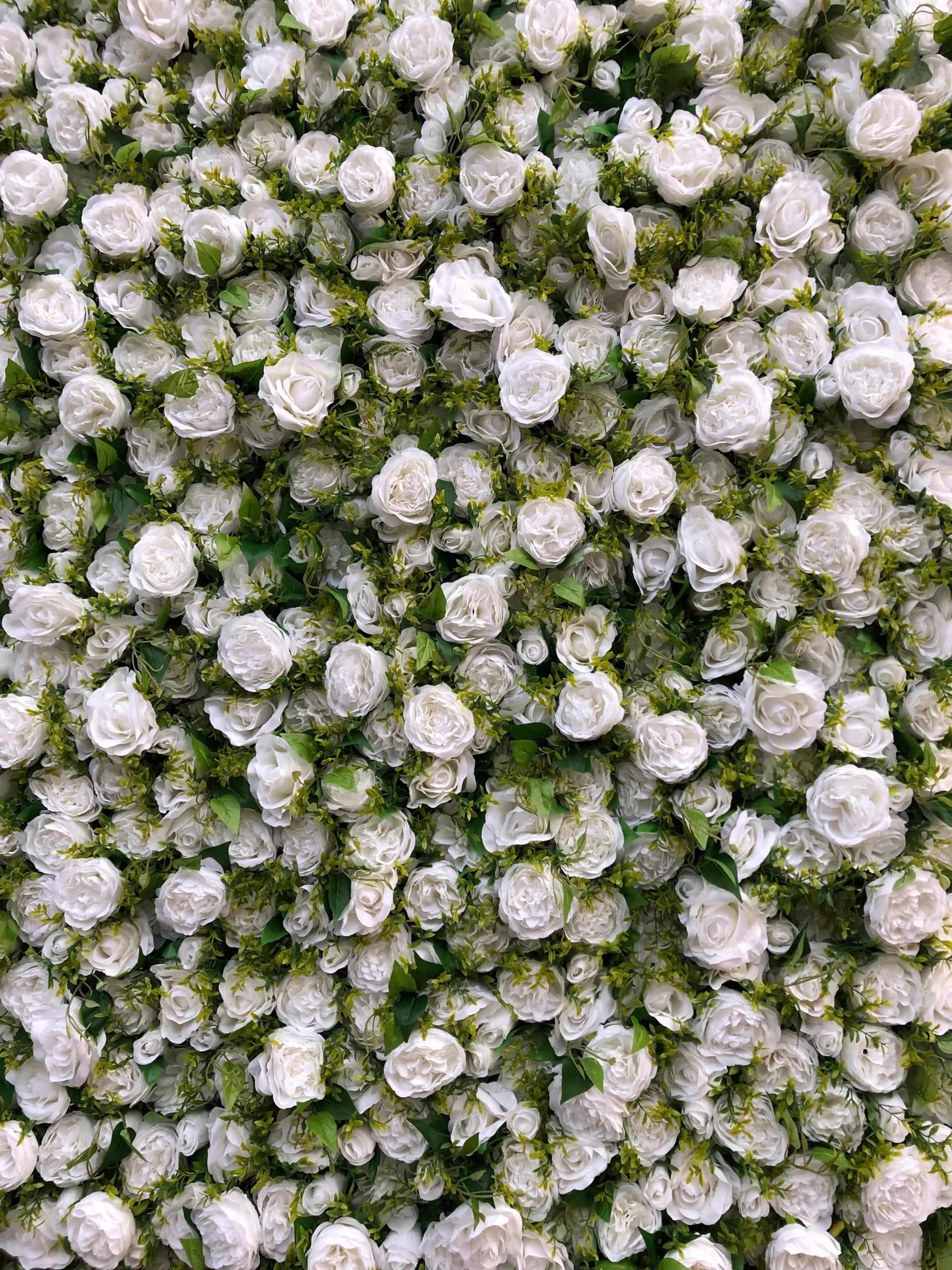 Edie Flower Wall