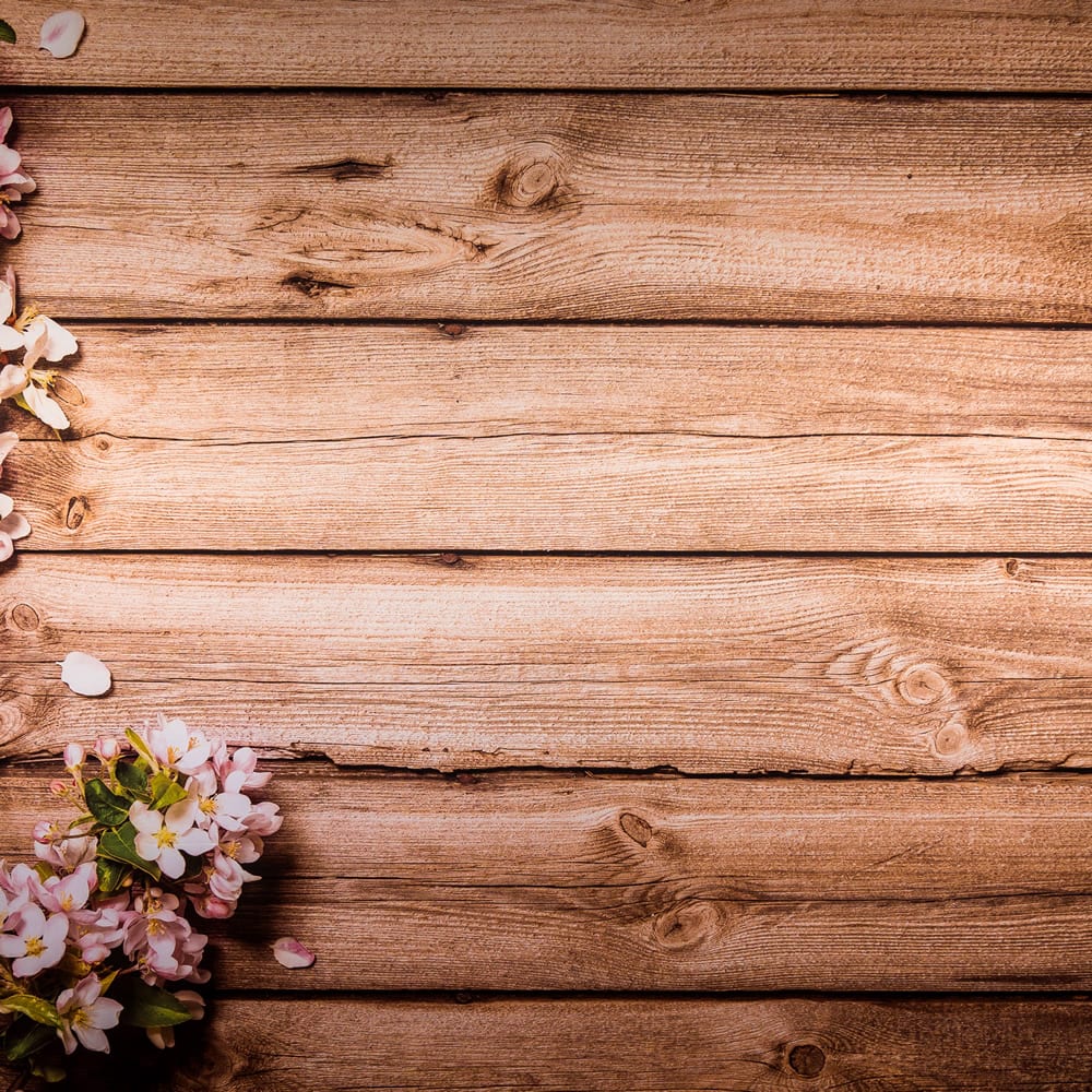 Sussex Backdrop Hire
