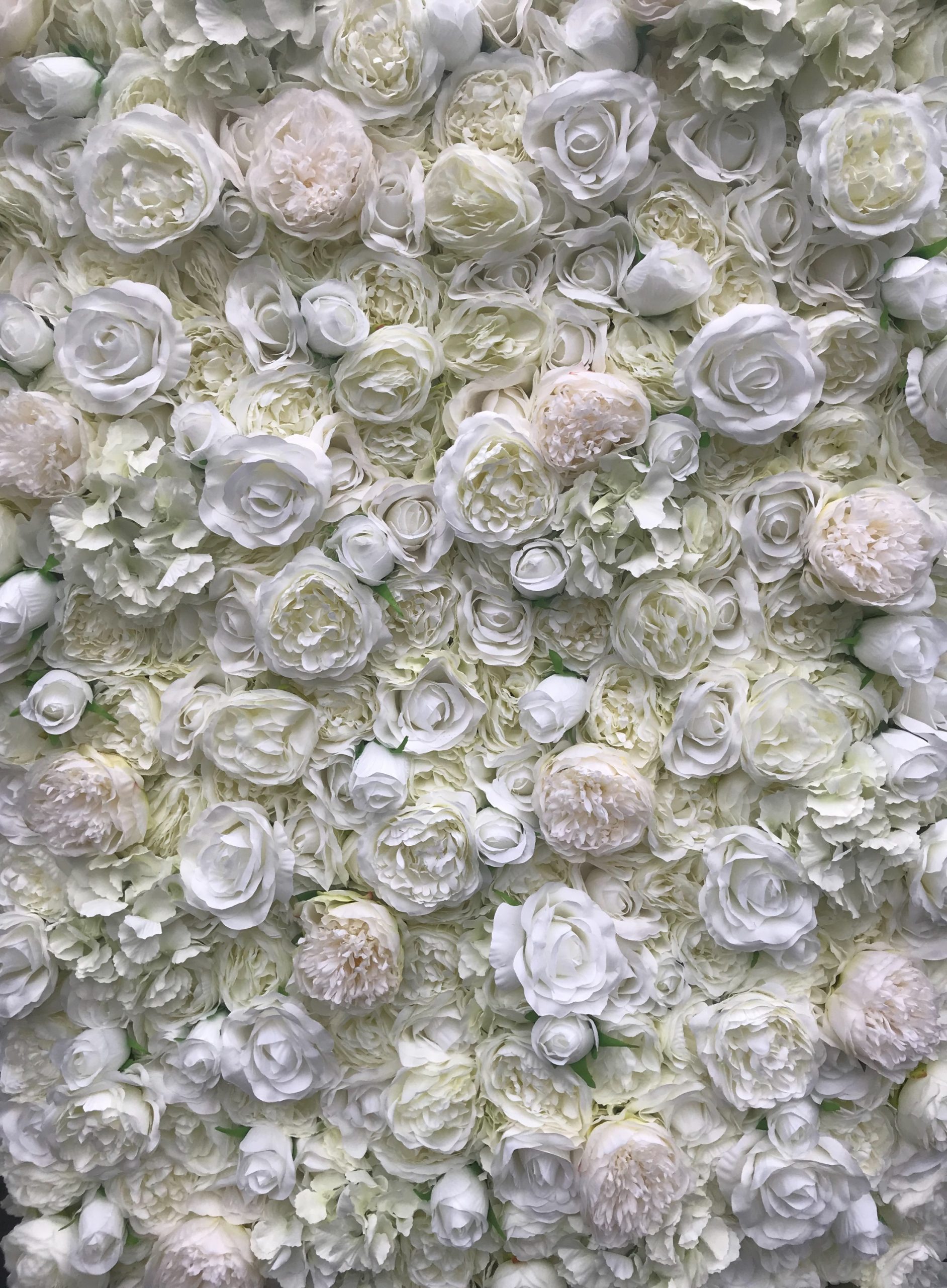 Ivory Flower Wall